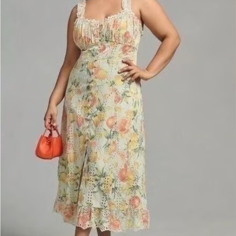 NWT Anthropology fruit print Dress